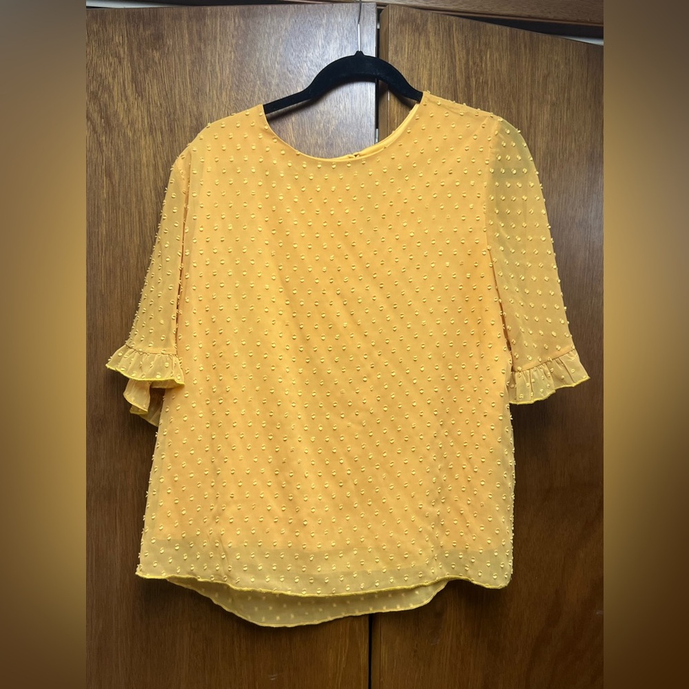 MTS Swiss dot short sleeve blouse